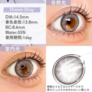 MOLAK 1day Dream Gray モラクワンデー ドリームグレー